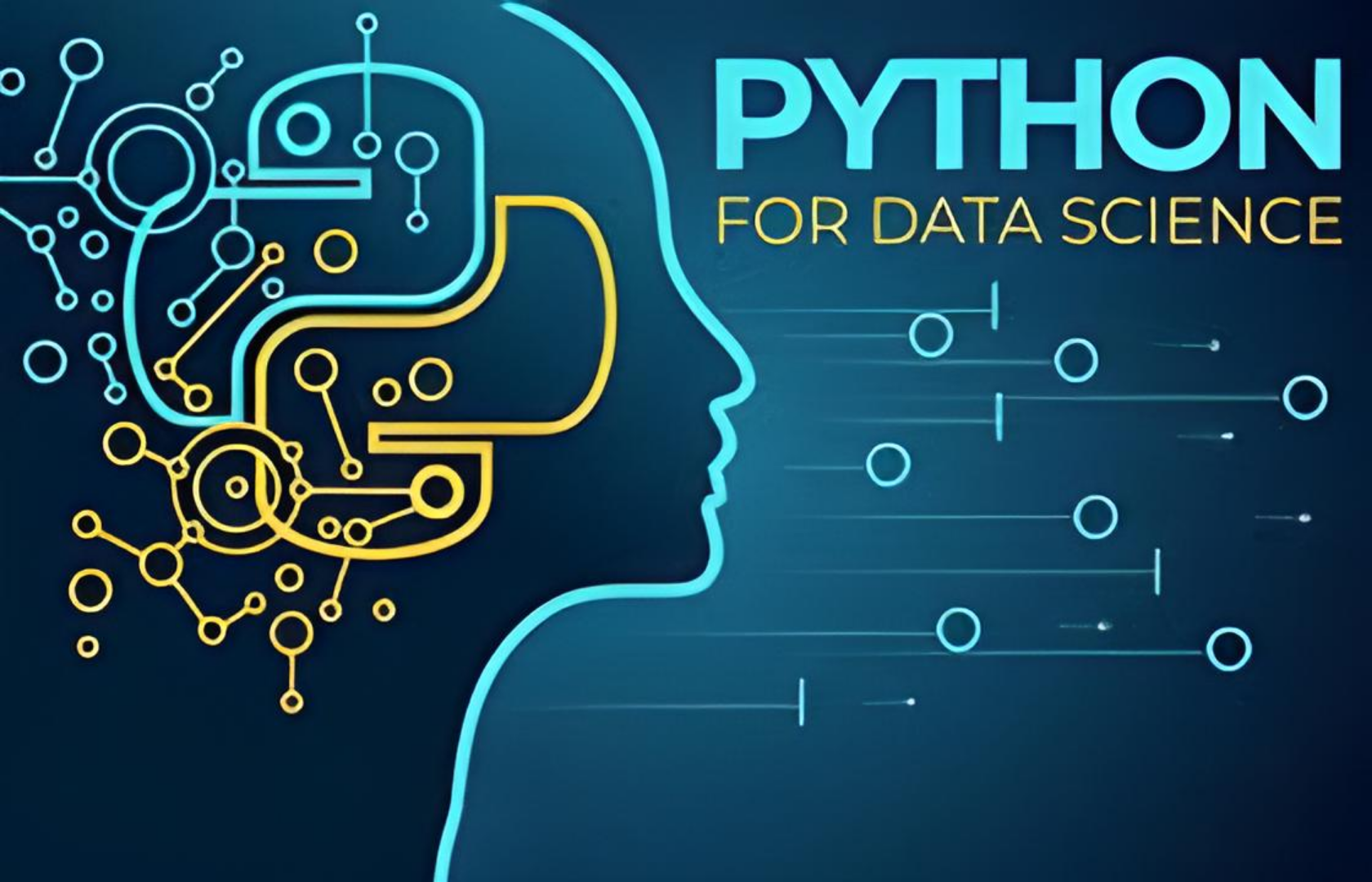 Data Science with Python Image